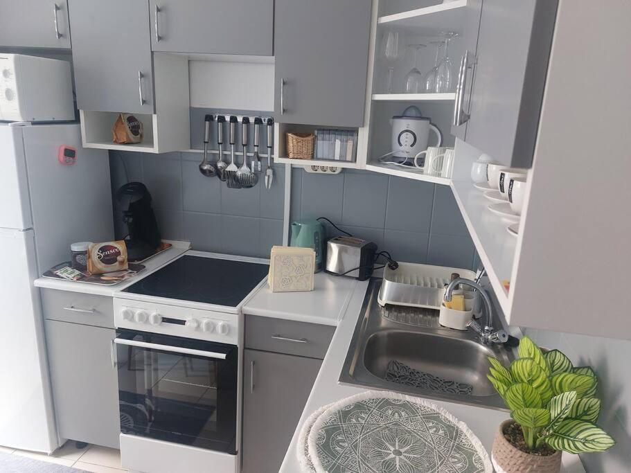 Dora Apartman Best Location & Free Parking Ντέμπρετσεν Εξωτερικό φωτογραφία